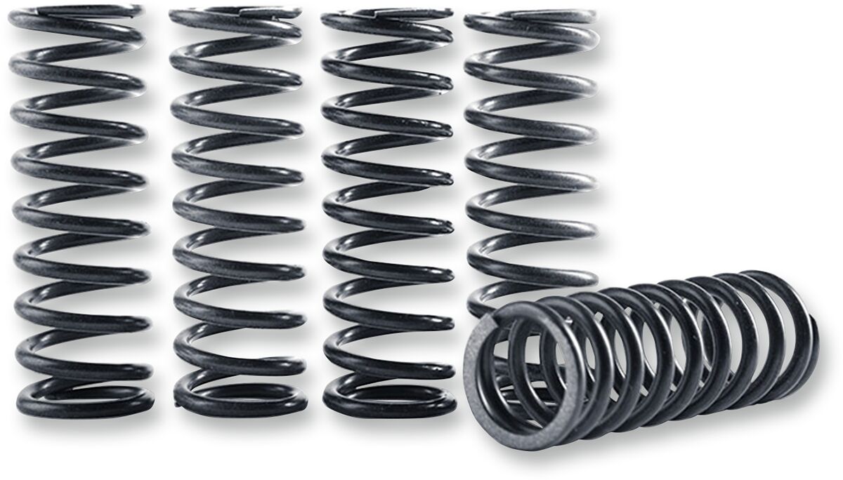 Hi-Temp Clutch Spring Kit — CS264-5-0409