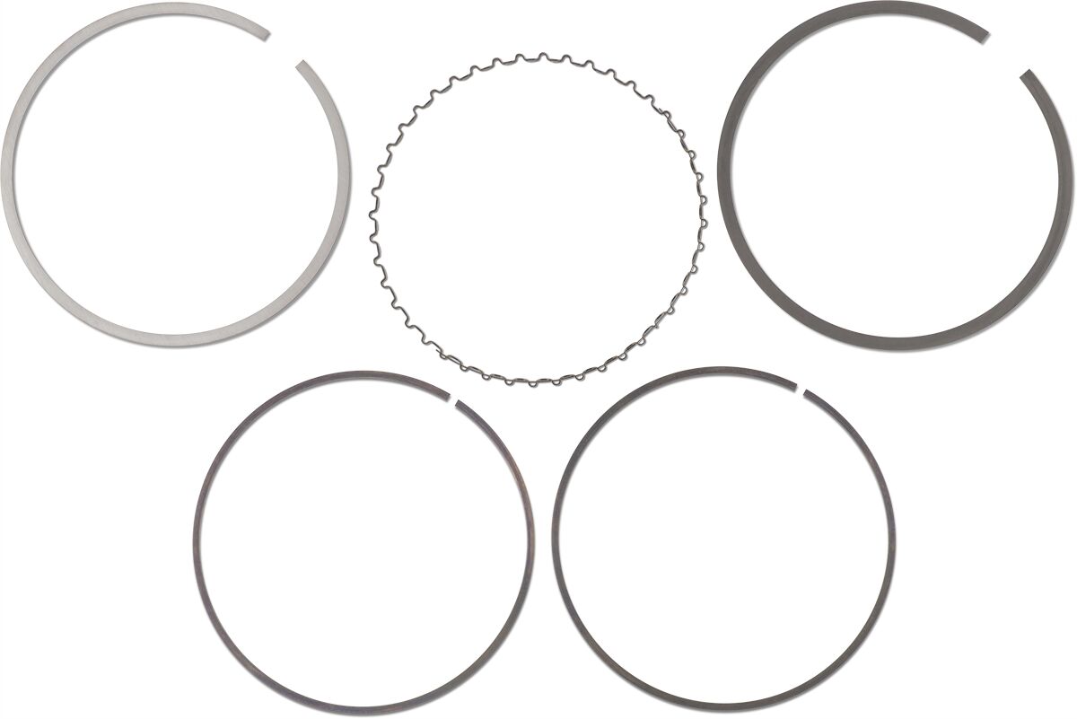 Replacement Piston Ring Set — S41316119