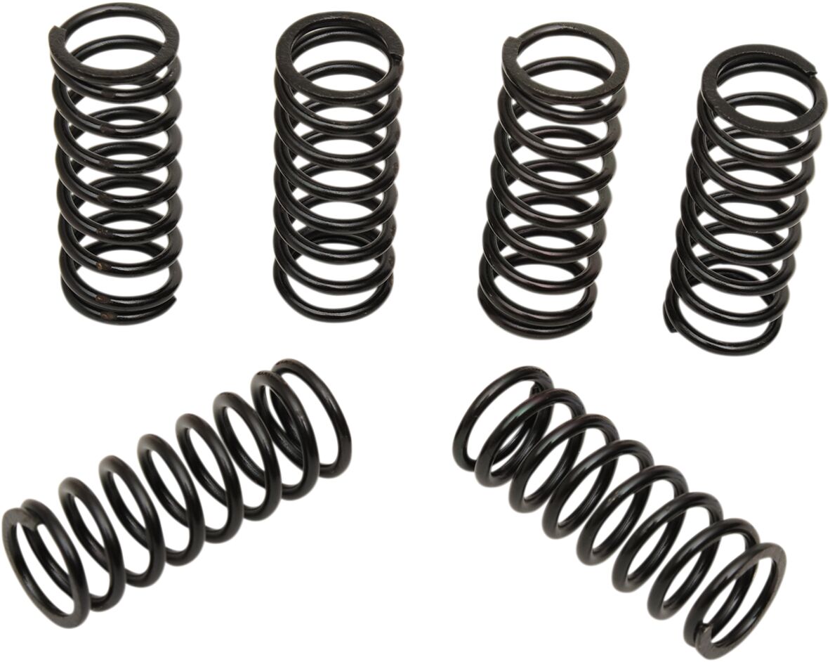 Clutch Spring Kit — 501-38-06118