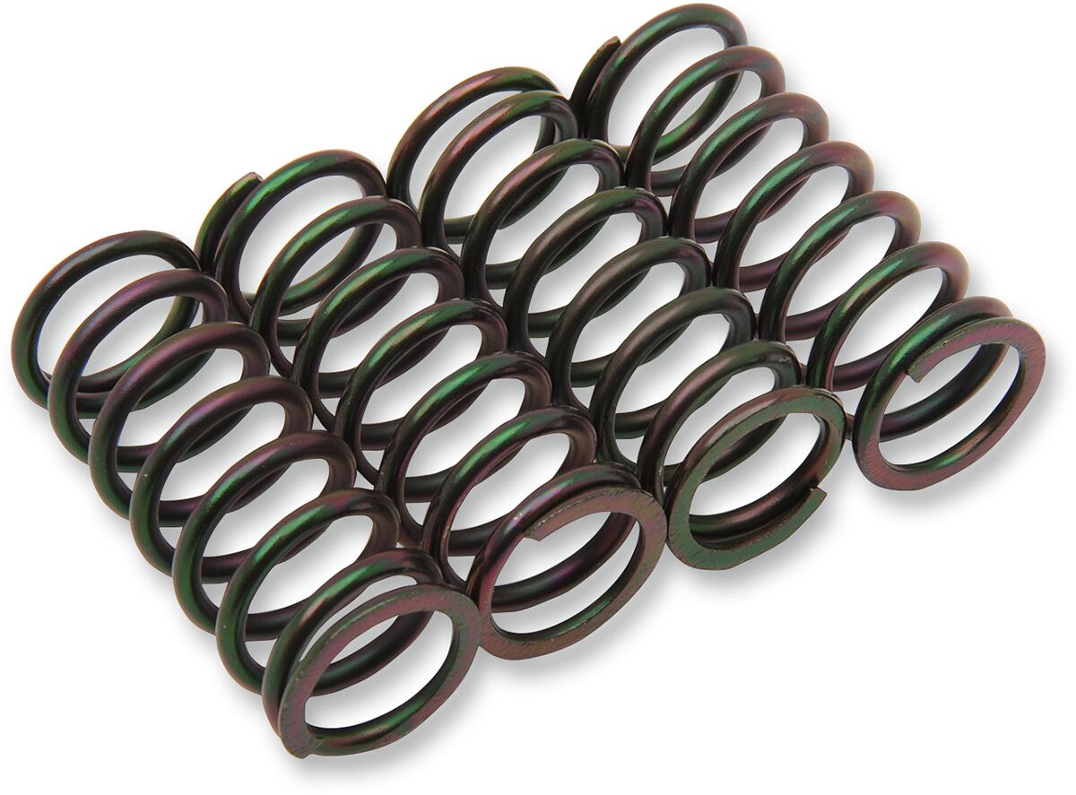 Clutch Spring Kit — 501-58-04076