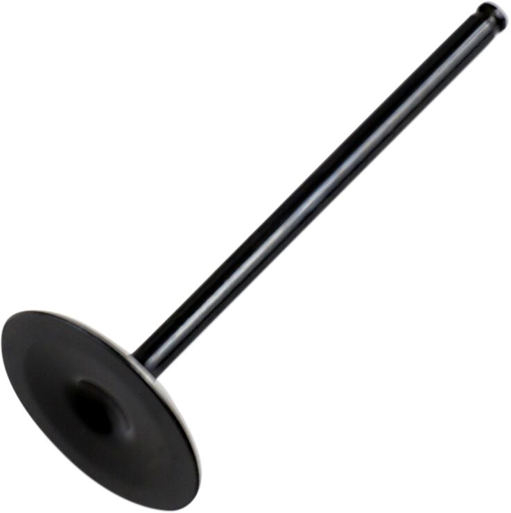 Replacement Valve Polaris — Selected Models; See Fitment