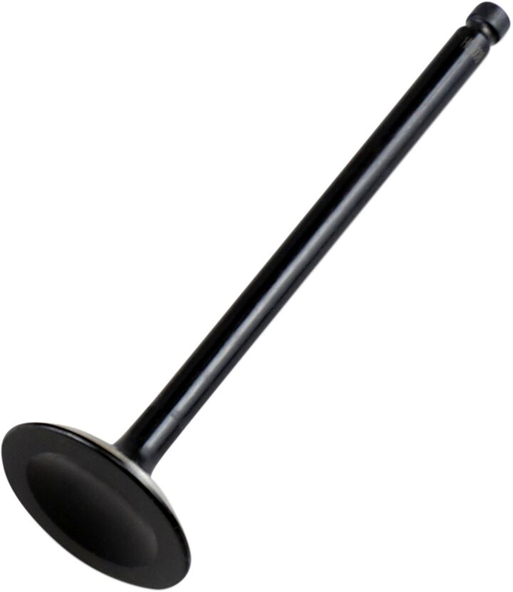 Replacement Valve Polaris — Selected Models; See Fitment