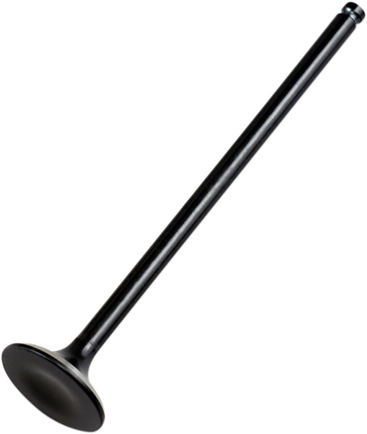 Replacement Valve Polaris — Selected Models; See Fitment