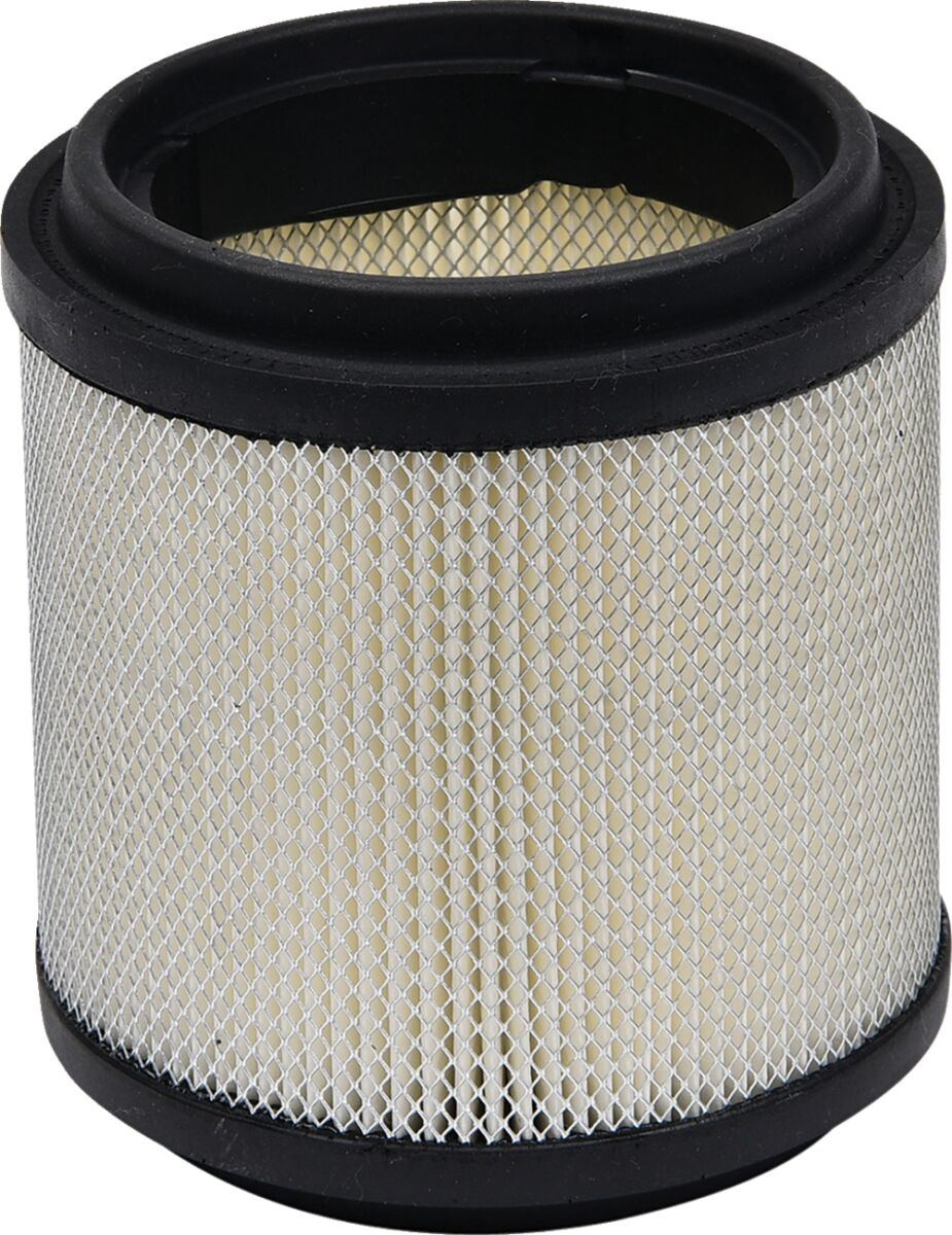 Replacement Air Filter Polaris — Selected Models; See Fitment