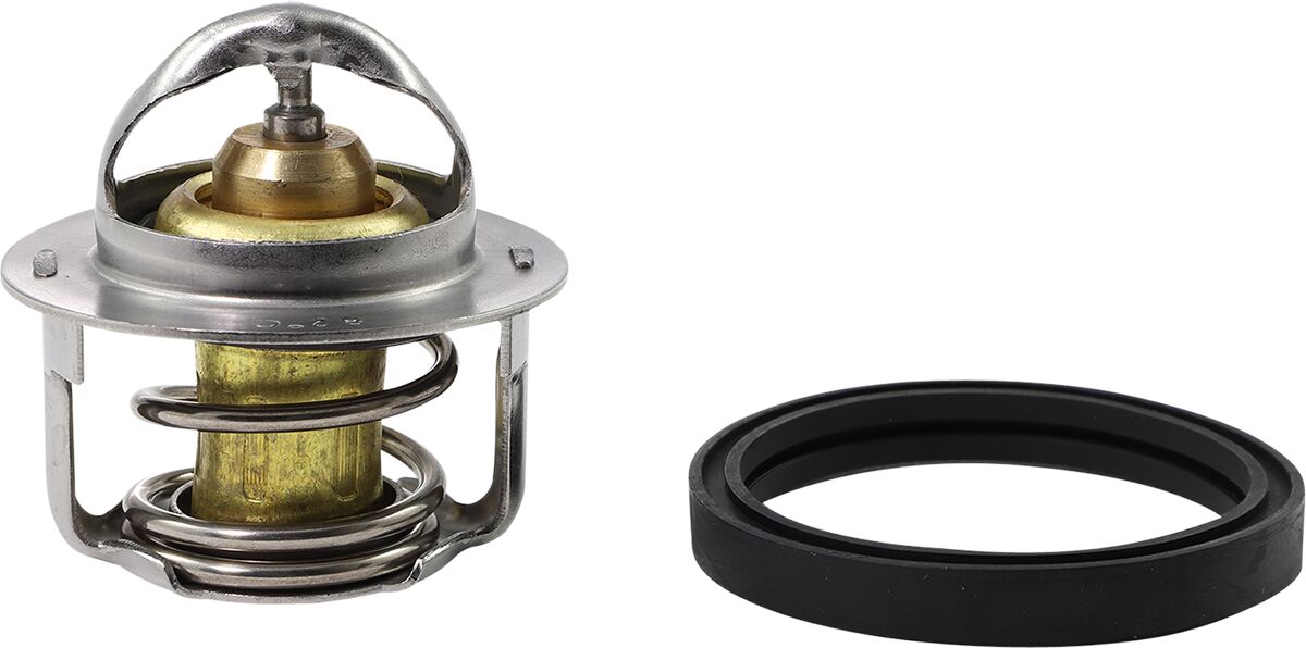 Replacement Thermostat - Polaris — 16-3001