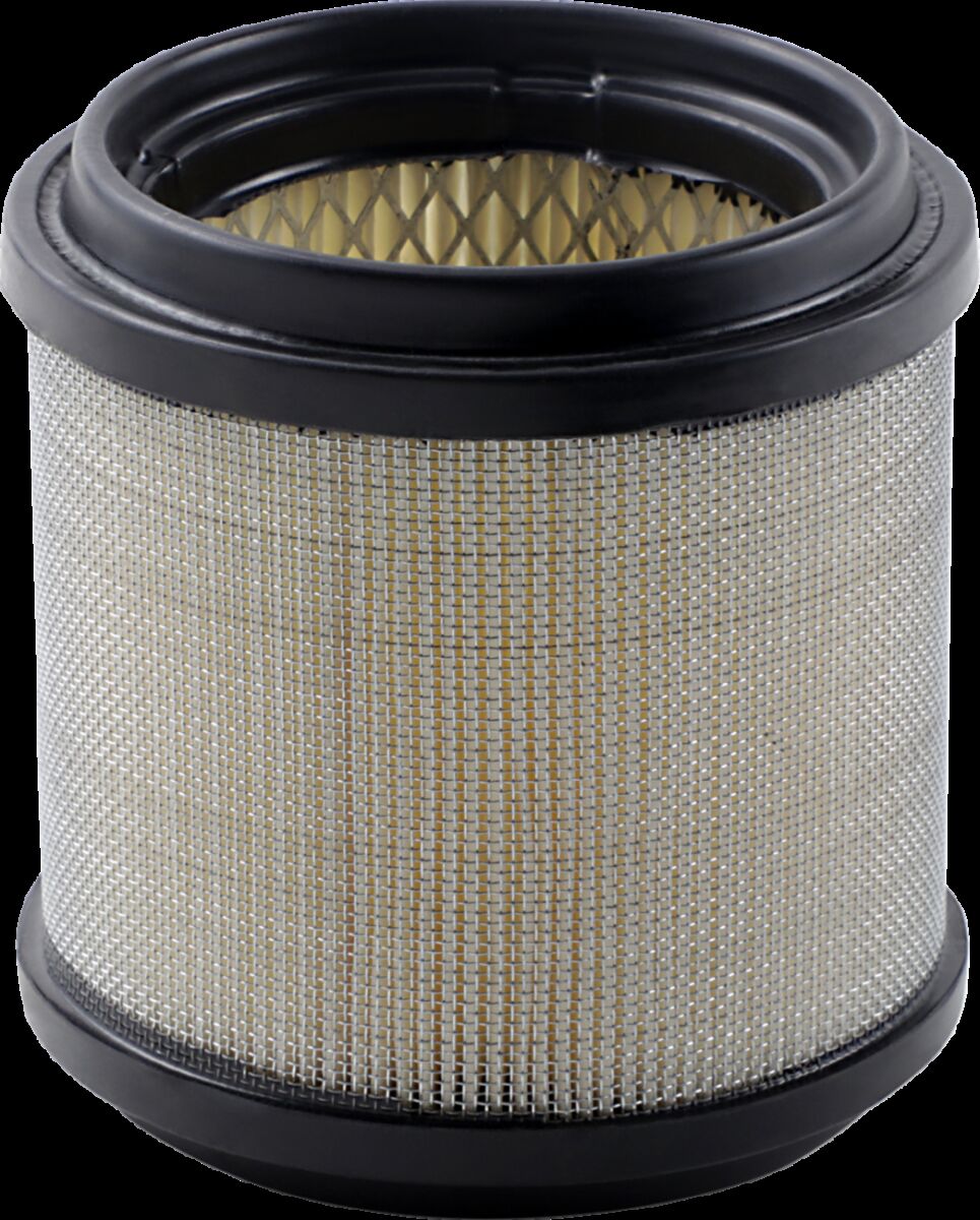 Air Filter Polaris — Selected Models; See Fitment
