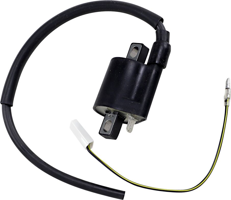 Ignition Coil SUZUKI — Selected Models; See Fitment