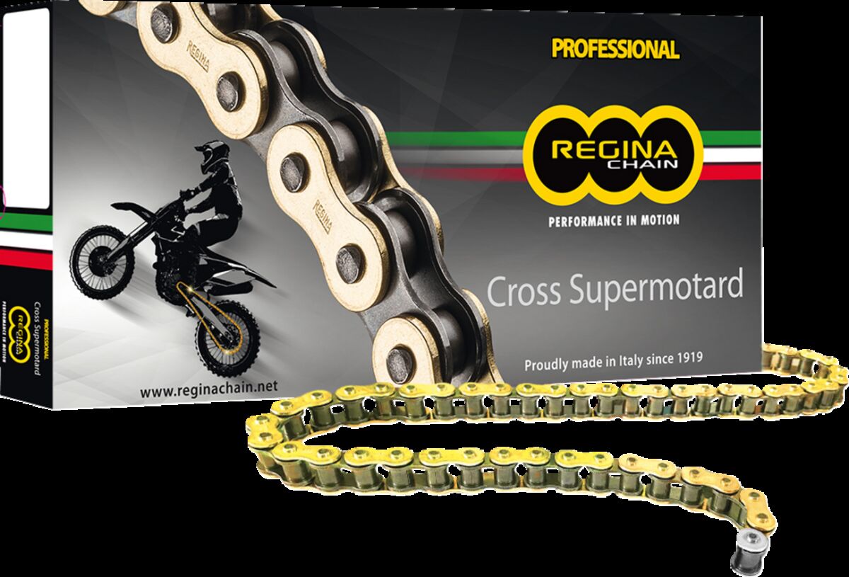 520 RH2 Series Chain — 135RH2/1000