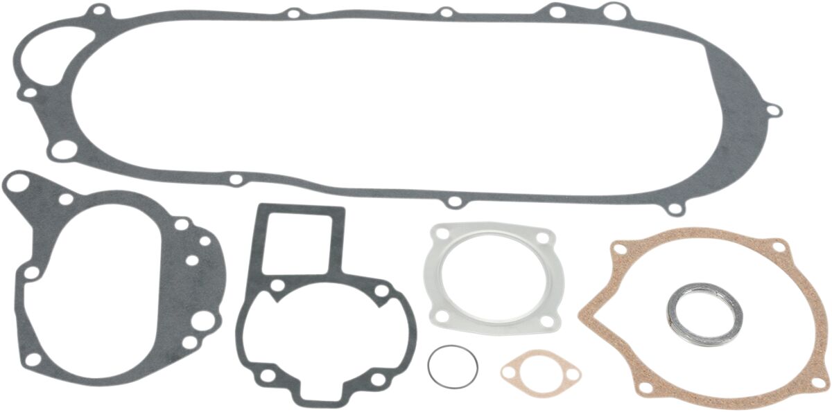 Complete Gasket Kit — 808849MSE