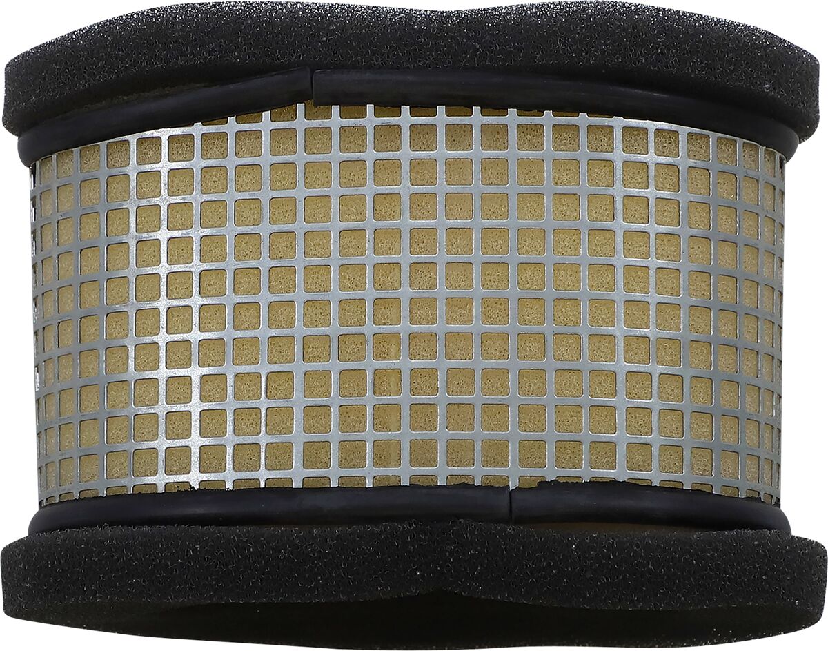 Air Filter Polaris — Selected Models; See Fitment