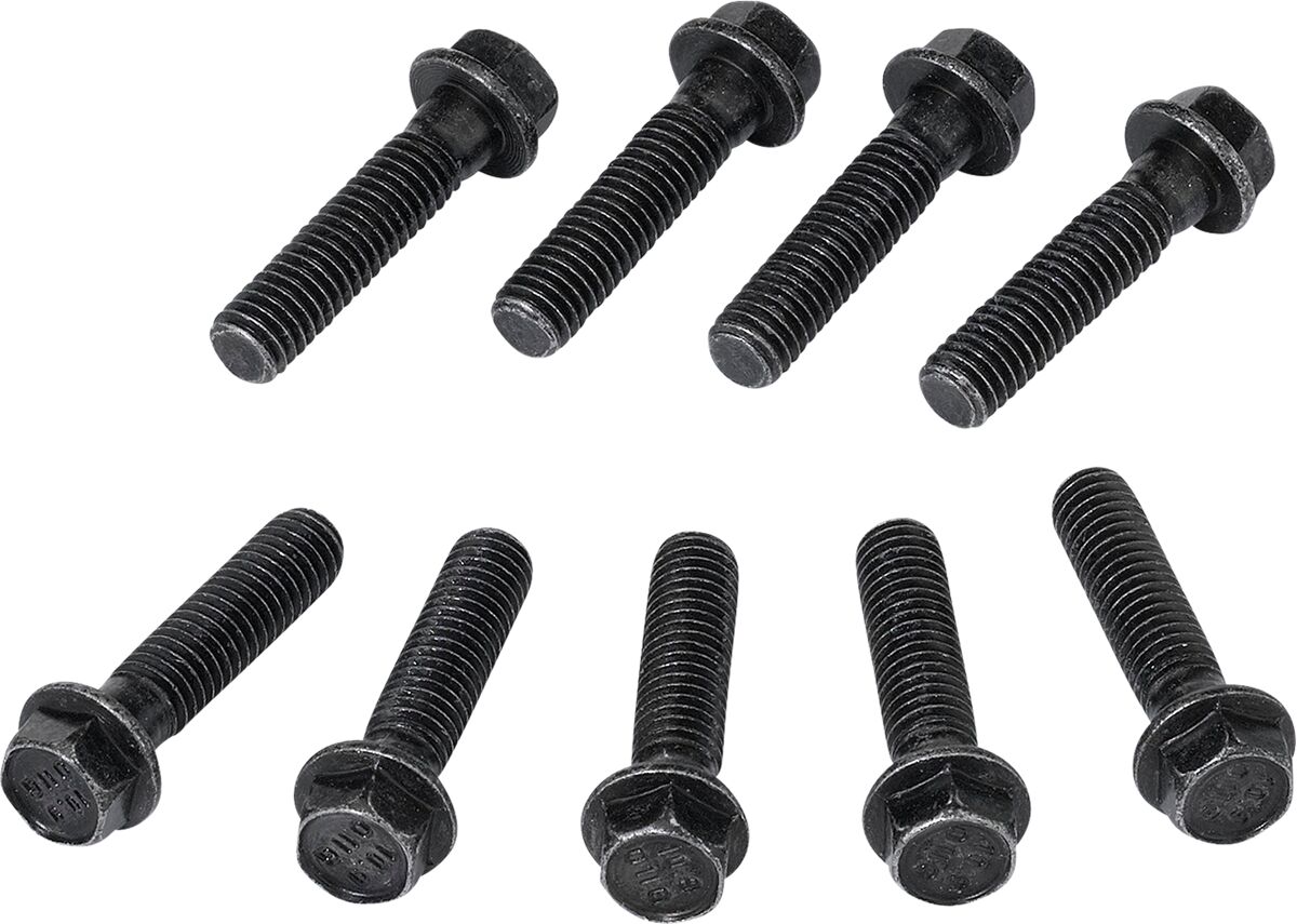 Clutch Cover Screw Polaris RZR / Ranger RZR — Selected Models; See Fitment