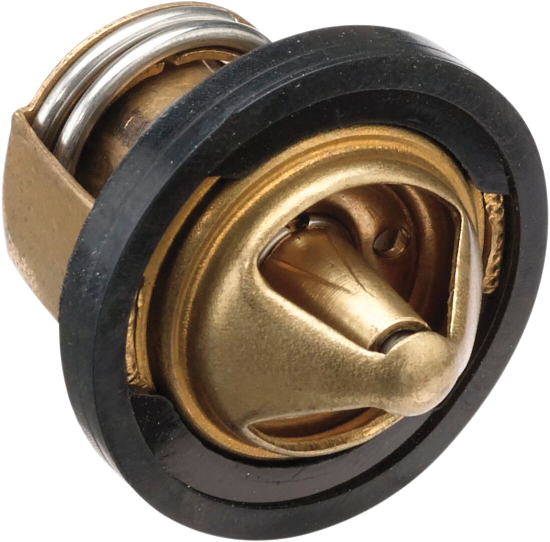 Replacement Thermostat - Polaris — 100-2071-PU