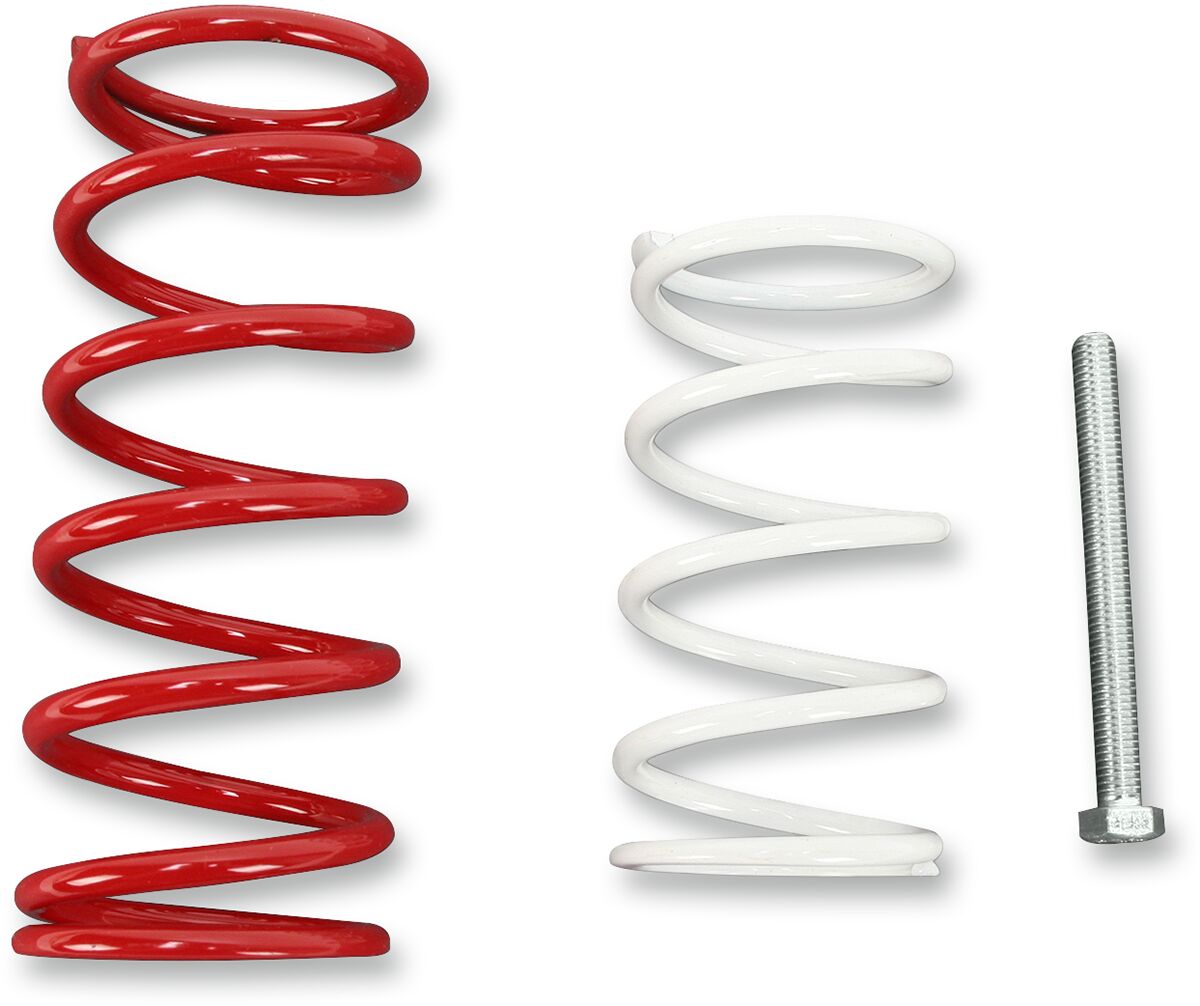 Economy Clutch Kit Can-Am Renegade 800 EFI HO 4X4 2007-2008 / Can-Am Renegade 800 EFI HO 4X4 X 2008 / Can-Am Renegade 800 R EFI 4X4 2011 / Can-Am Renegade 800 R EFI 4X4 X XC 2011