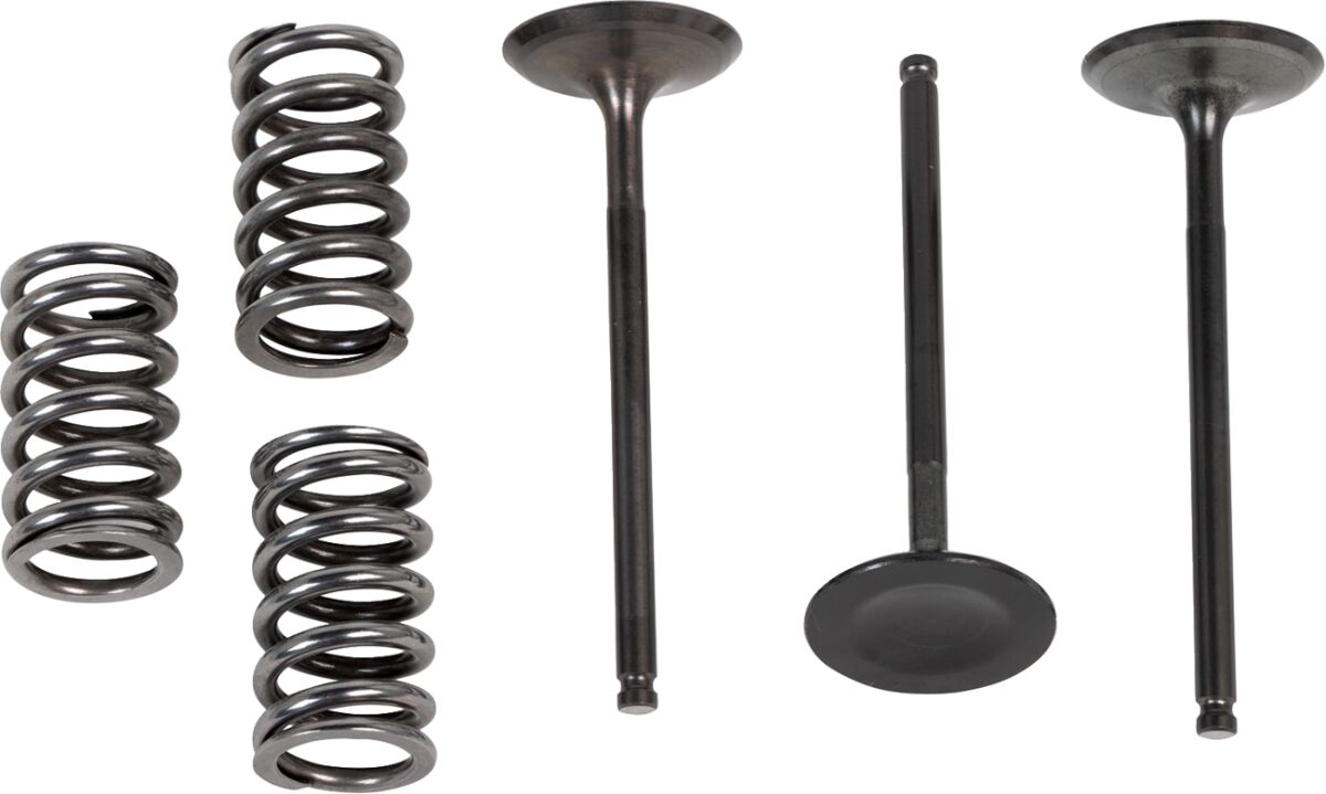 Valve and Spring Kit GAS GAS; Yamaha — Selected Models; See Fitment