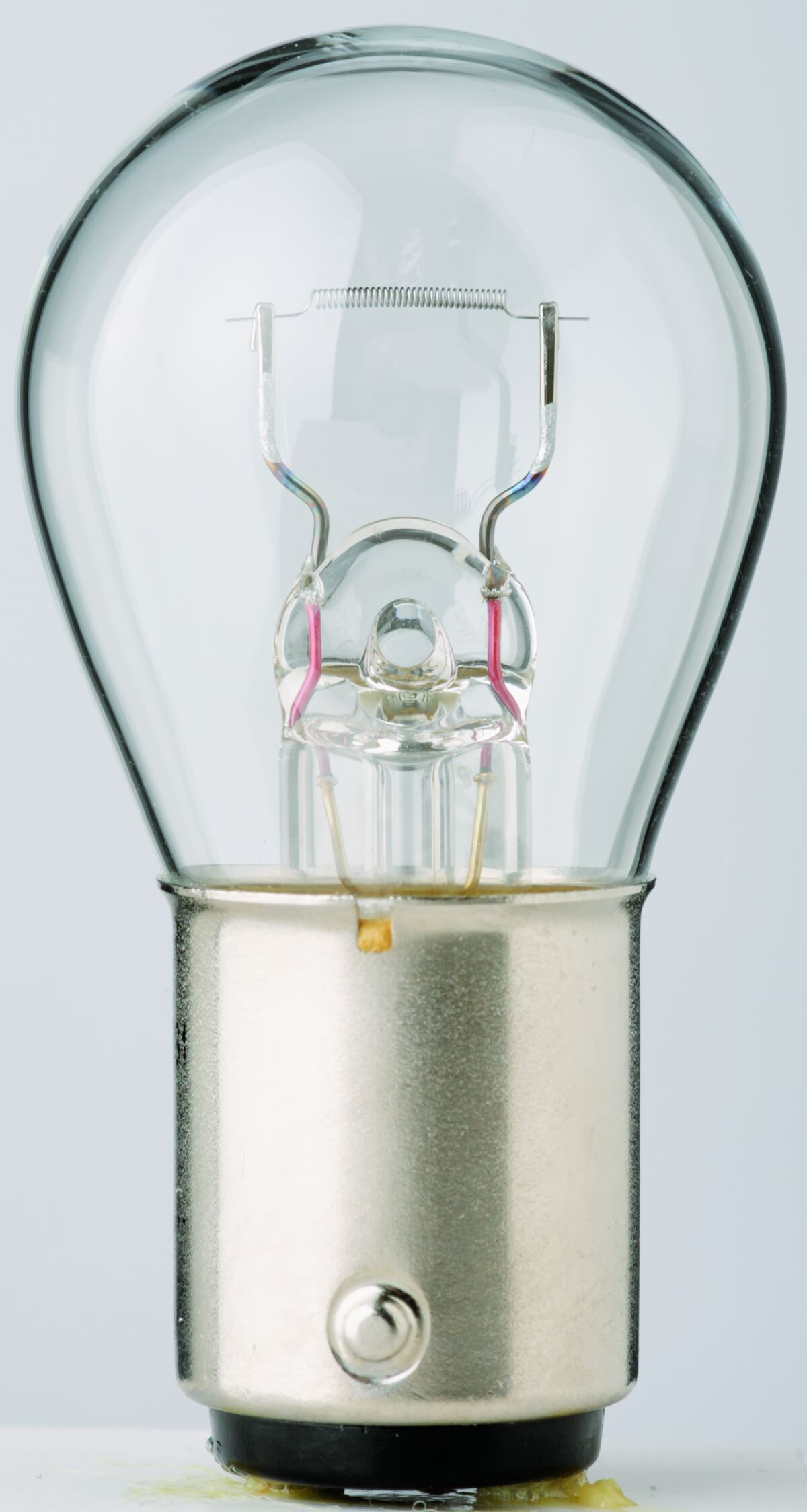 Filament Bulbs