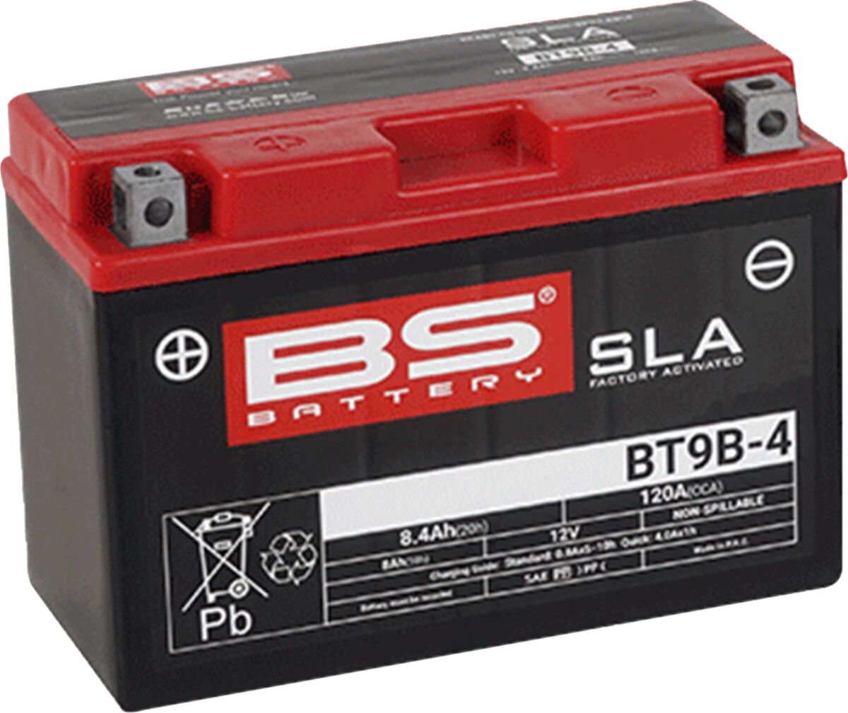 SLA Factory- Activated AGM Maintenance-Free Battery — 300642
