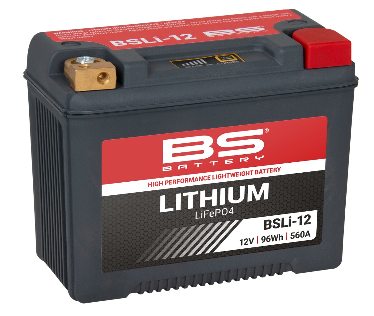 Lithium LiFePO4 Battery ARCTIC CAT (TEXTRON); BMW; Can-Am Defender; CFMOTO; DUCATI; Harley Davidson; LAVERDA; MOTO GUZZI; PIAGGIO; Polaris; Ski-Doo — Selected Models; See Fitment